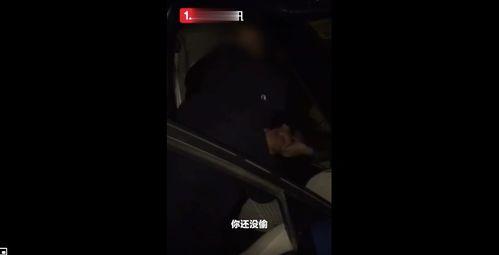 黑天鹅内鬼爆料视频,内鬼爆料视频深度解析  第2张