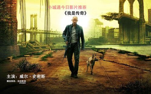 我是传奇在线观看,孤独英雄的末日求生之旅