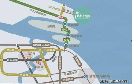 亲情爆料小说最新章节更新,揭秘家族秘辛，最新章节揭露惊人真相
