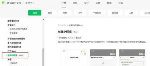 小程序最新爆料点有哪些,功能升级、玩法革新，亮点抢先看！